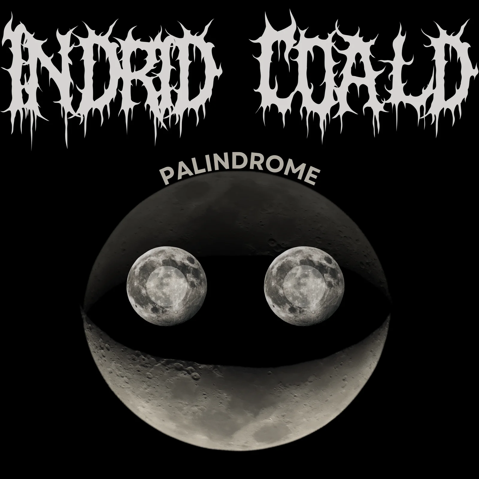 Palindrome cover artwork