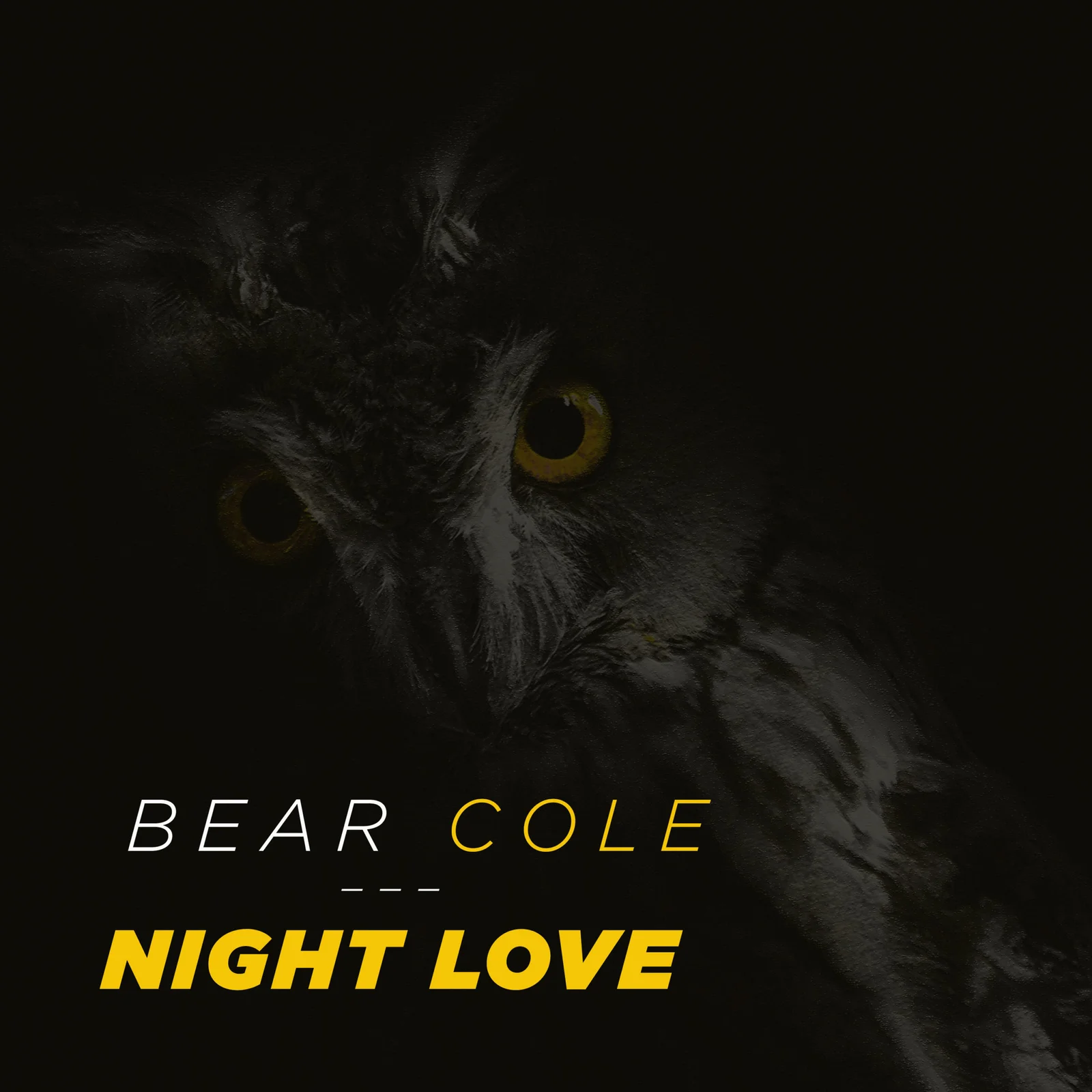 Night Love cover artwork