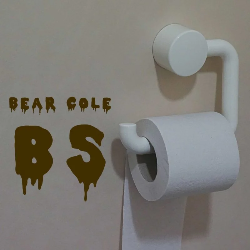 BS cover artwork