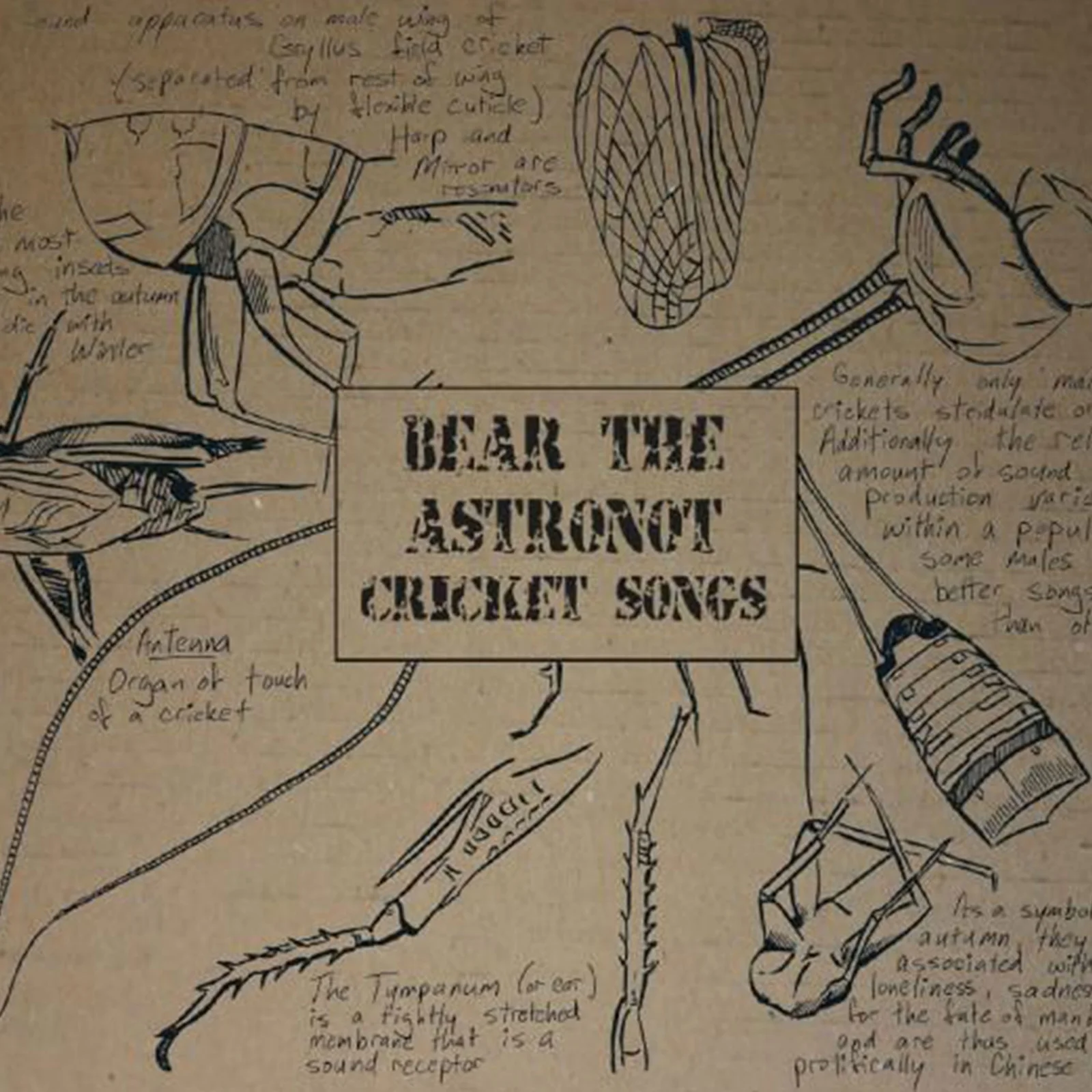 Cricket Songs cover artwork