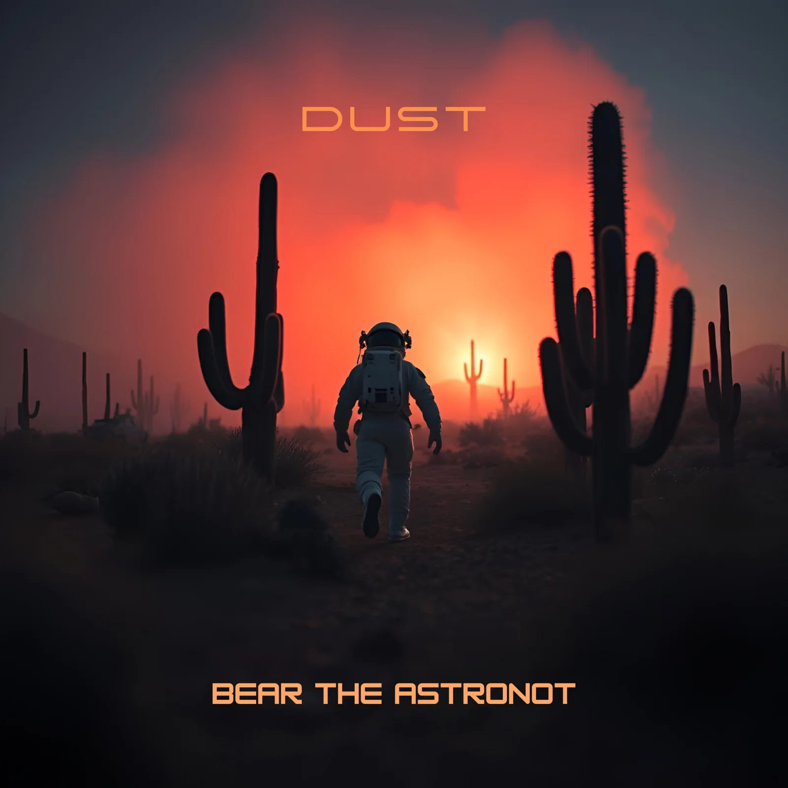 DUST cover artwork