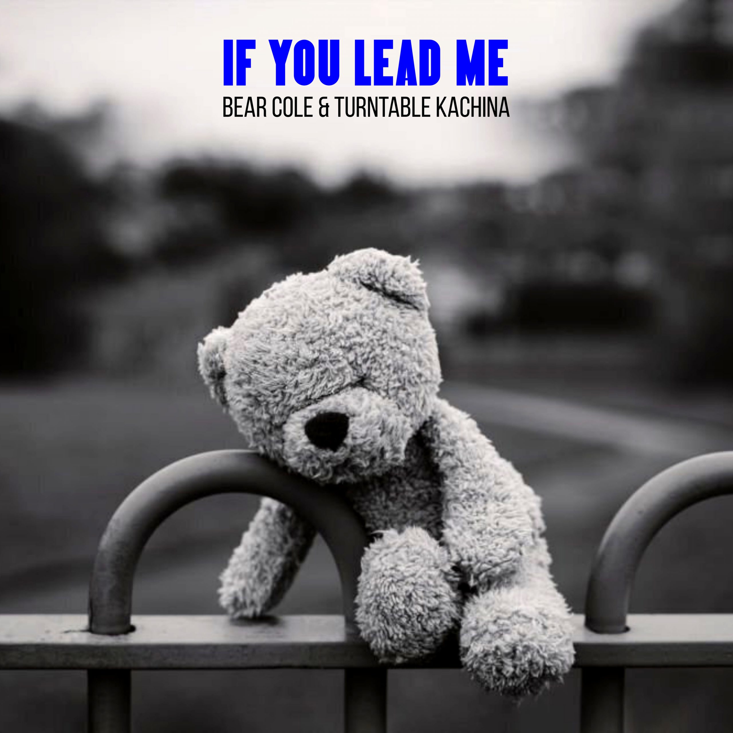 Featured image for If You Lead Me Video