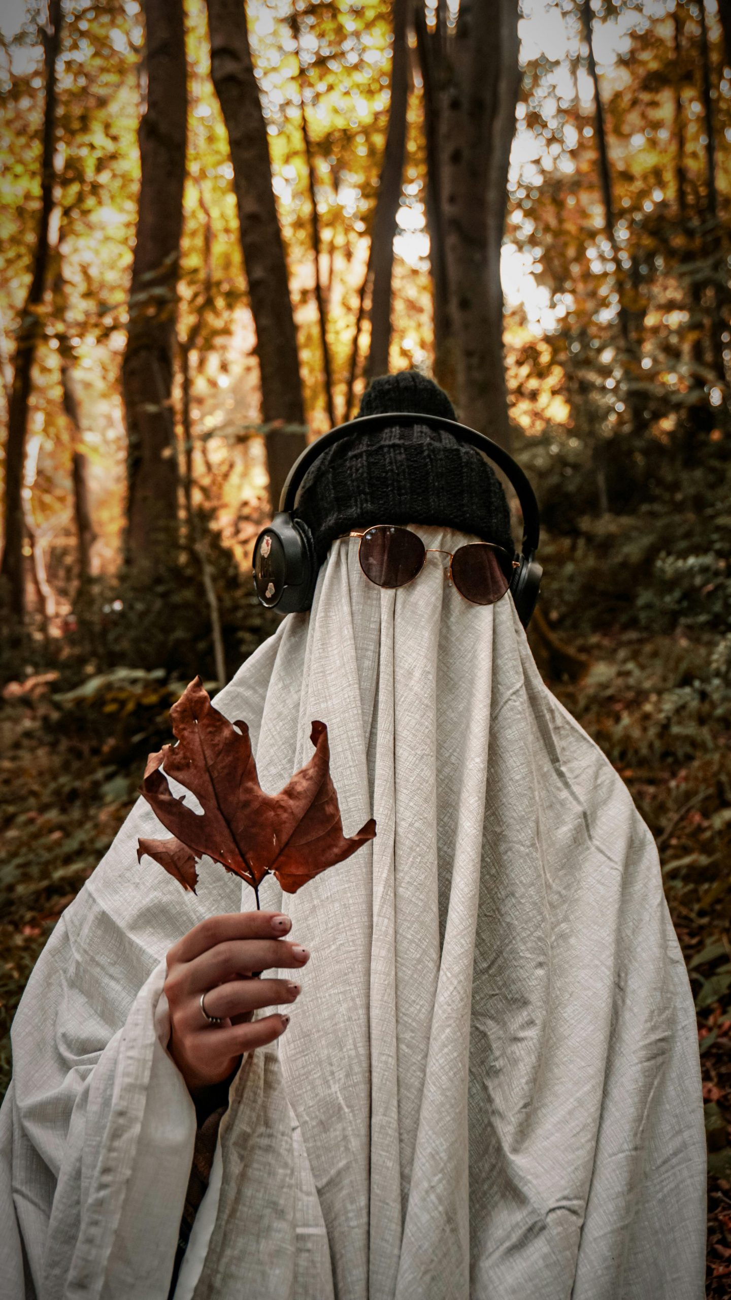 Featured image for That's The Spirit: Bear Cole's Captivating Debut Full-Length Album