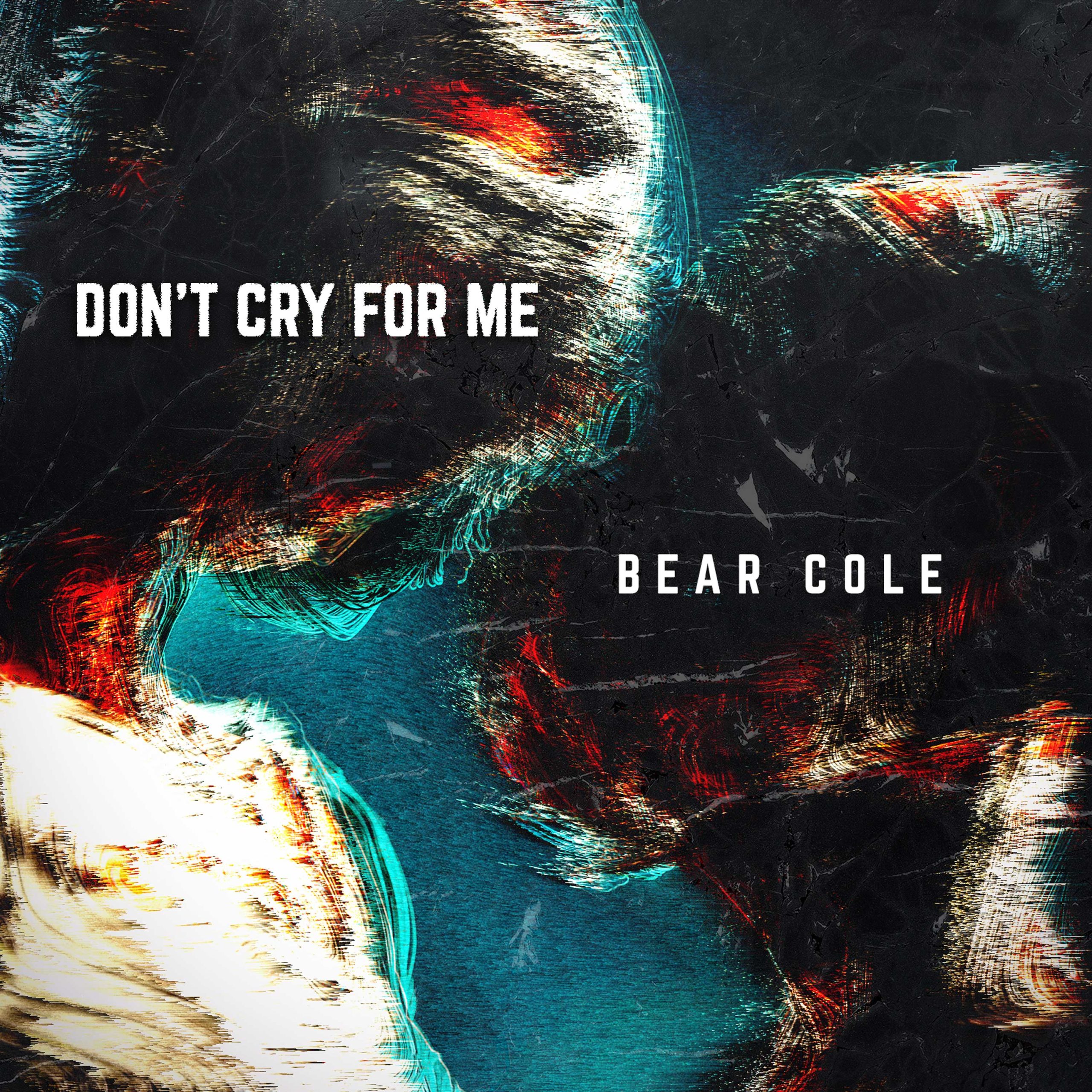 Featured image for Don't Cry For Me Video