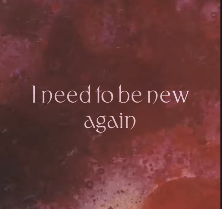 Featured image for My Cocoon Lyric Video Youtube Shorts