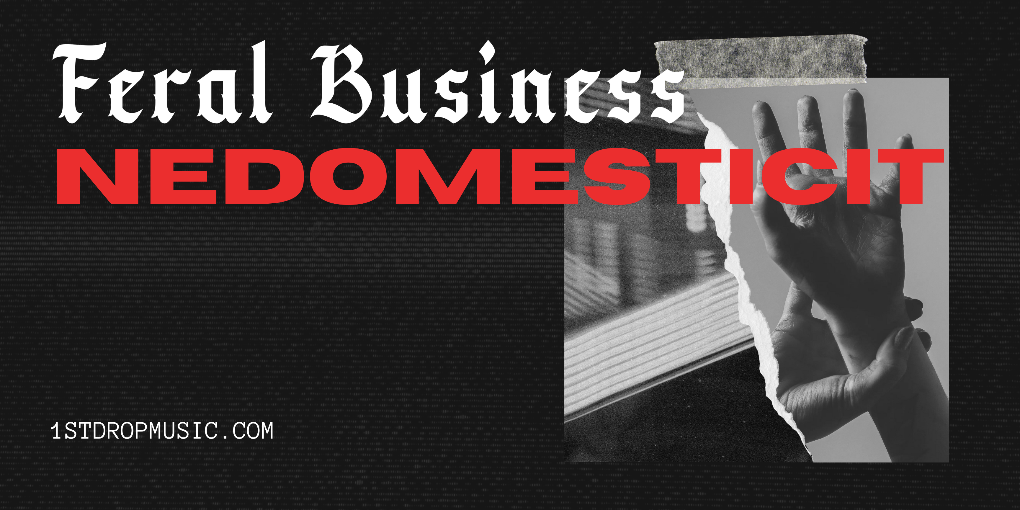 Featured image for Feral Business Unleashes Wild Energy with Debut Album NEDOMESTICIT