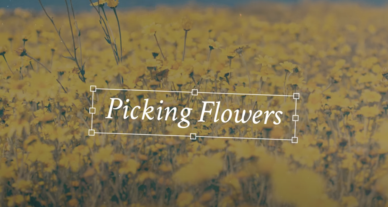 Featured image for Picking Flowers Lyric Video
