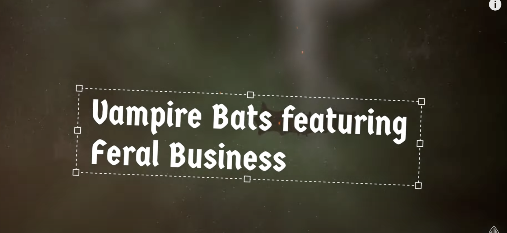 Featured image for Vampire Bats (feat. Feral Business) Lyric Video - Sagebrush & The Little Flowers