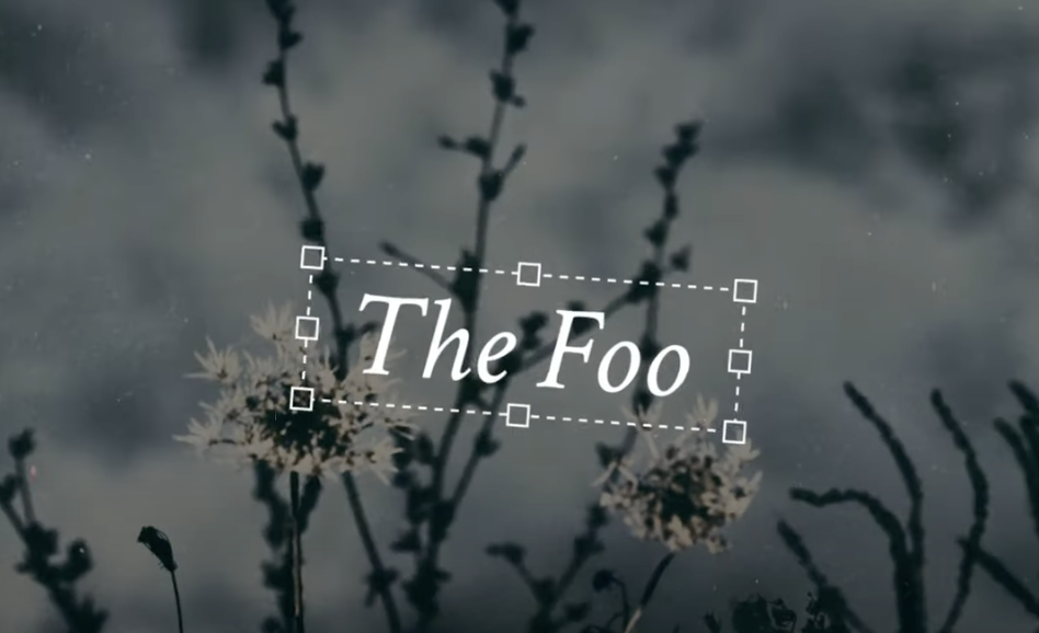 Featured image for The Foo Lyric Video - Sagebrush & The Little Flowers