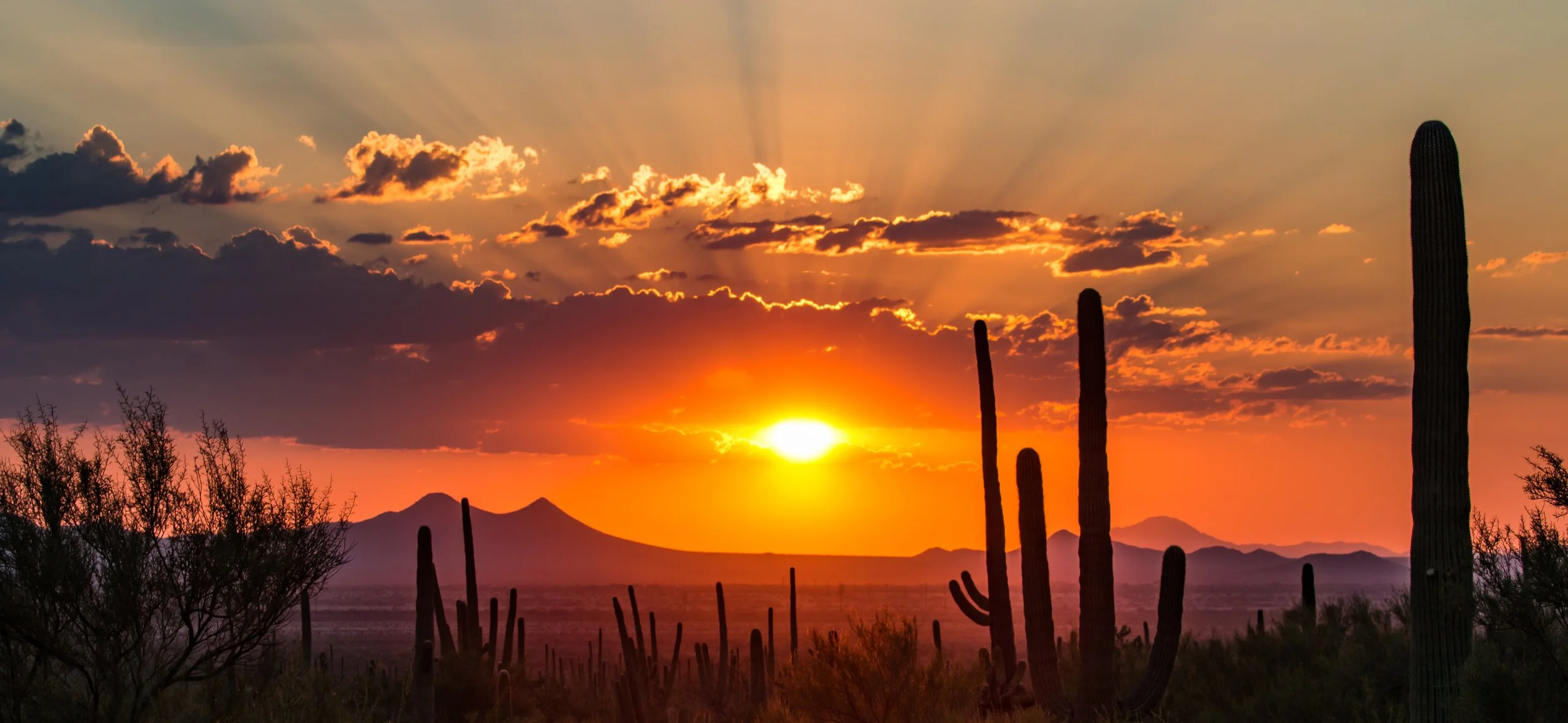 Featured image for What Is Southwest Soul? A New Sound Rooted in the American Southwest