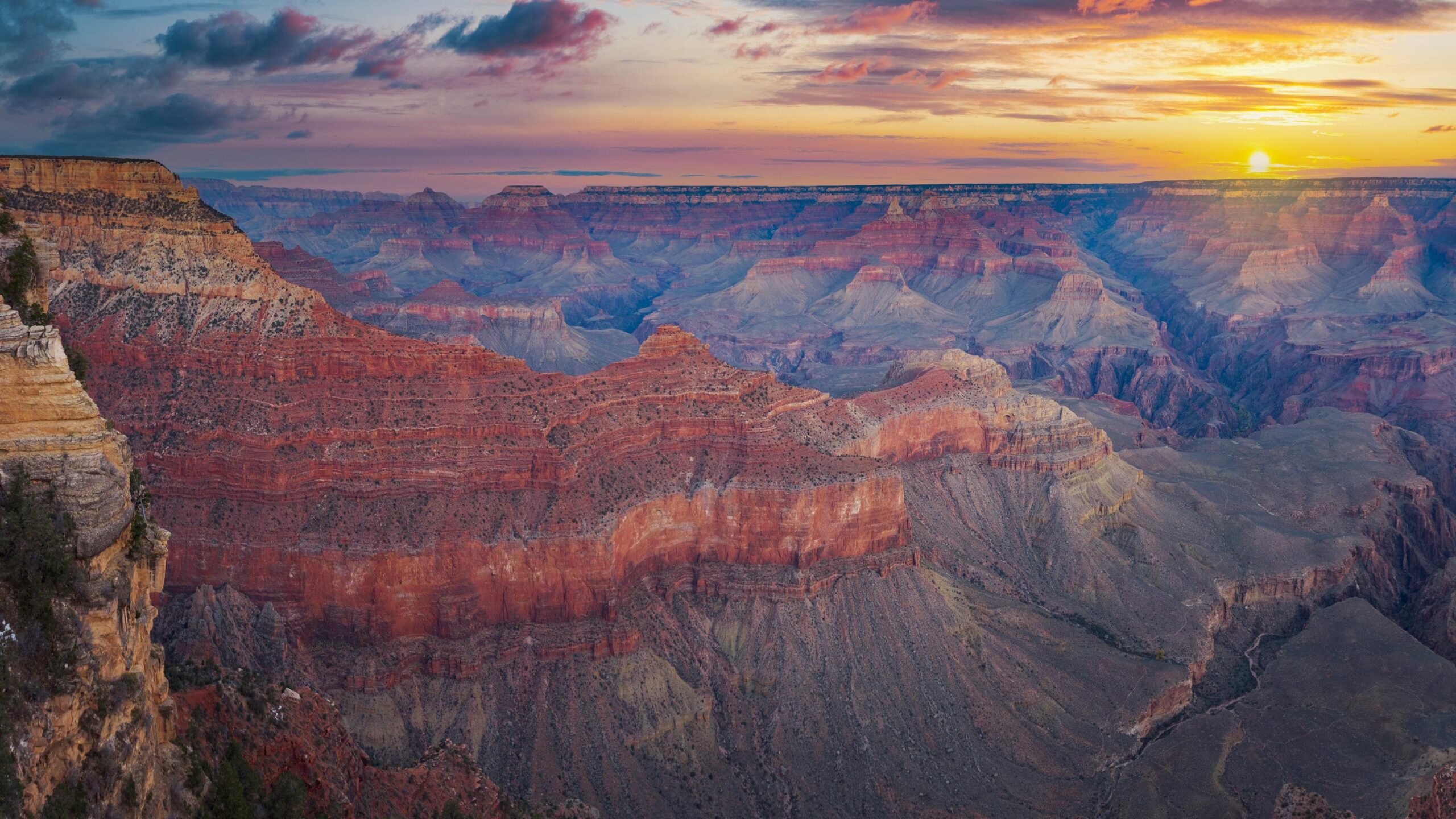 Featured image for Arizona Music & The Sound of Bear Cole