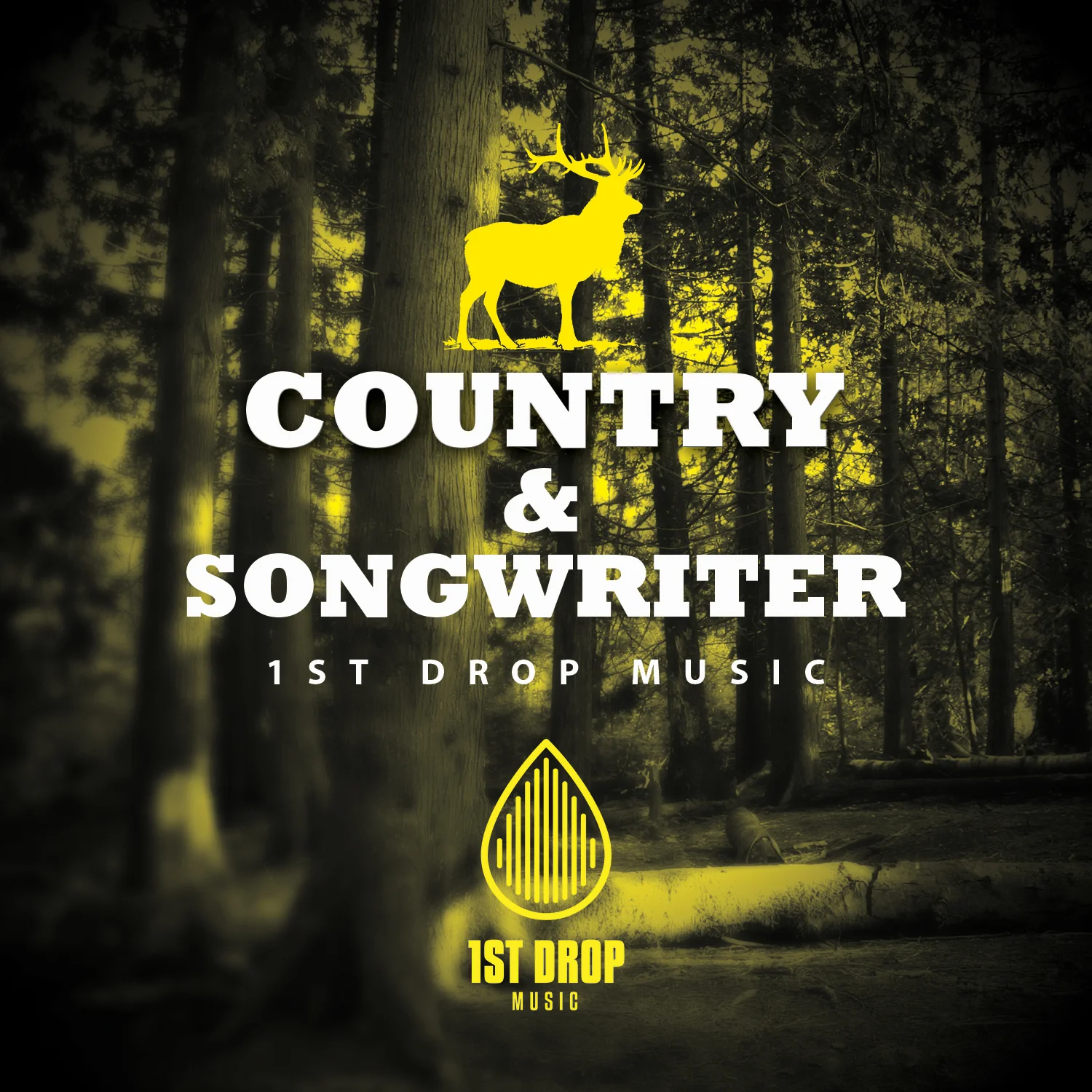 1st Drop Music Country & Songwriter artwork