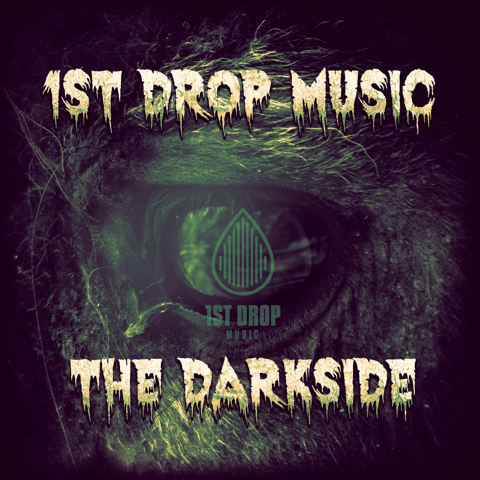1st Drop Music The Darkside artwork