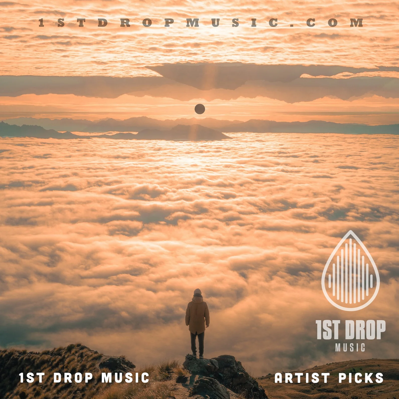1st Drop Music Artist Picks artwork