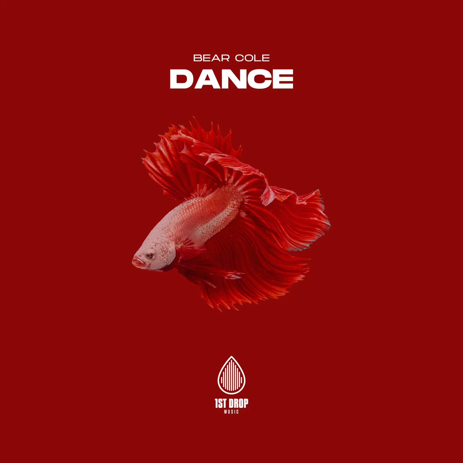 Bear Cole Dance playlist artwork