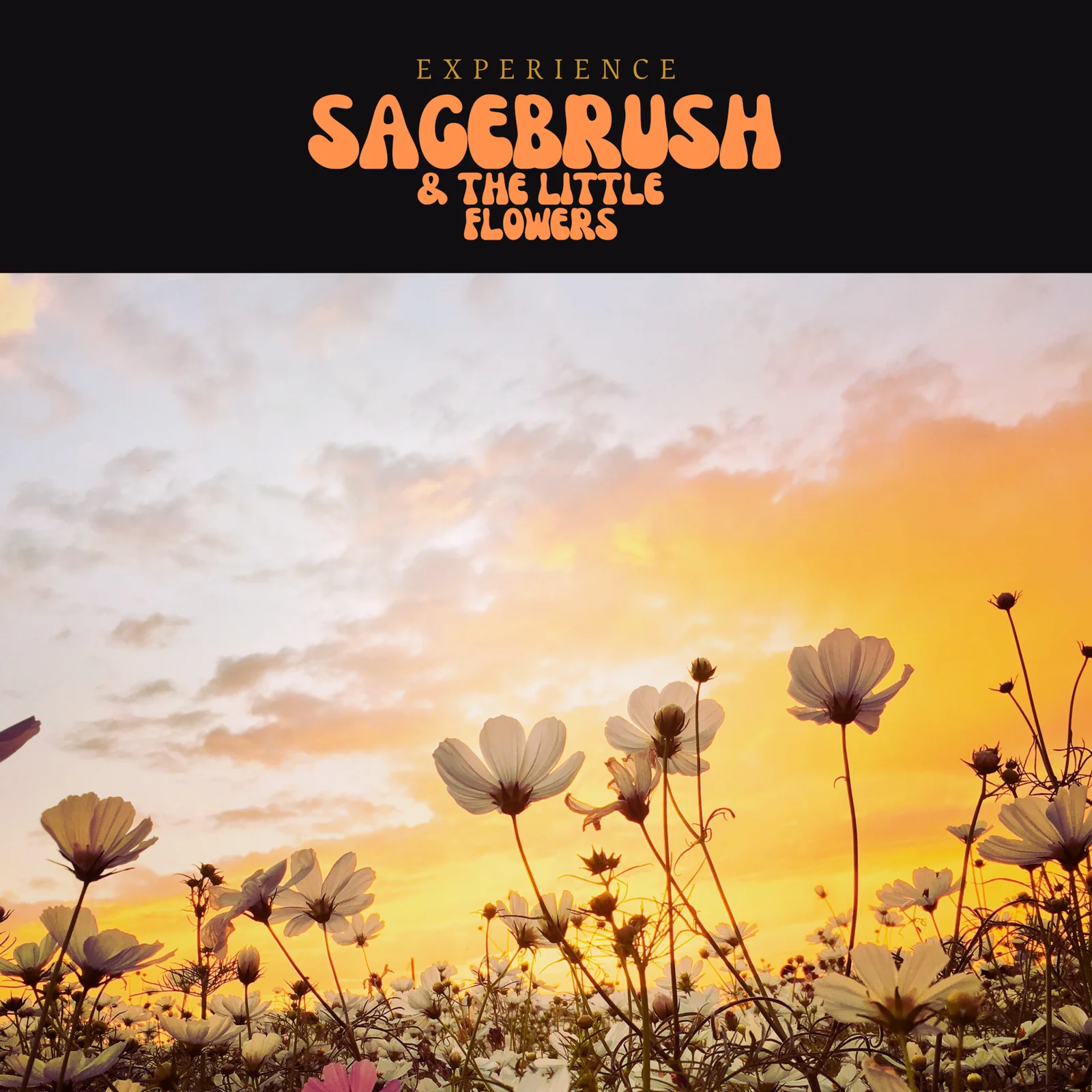 Experience Sagebrush & The Little Flowers artwork