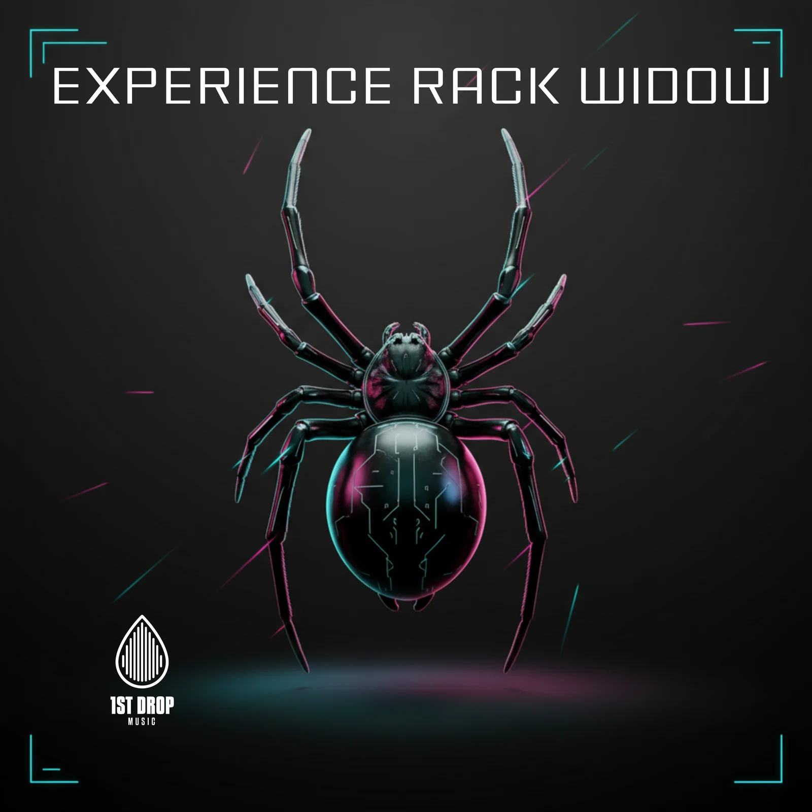 Experience RACK WIDOW artwork