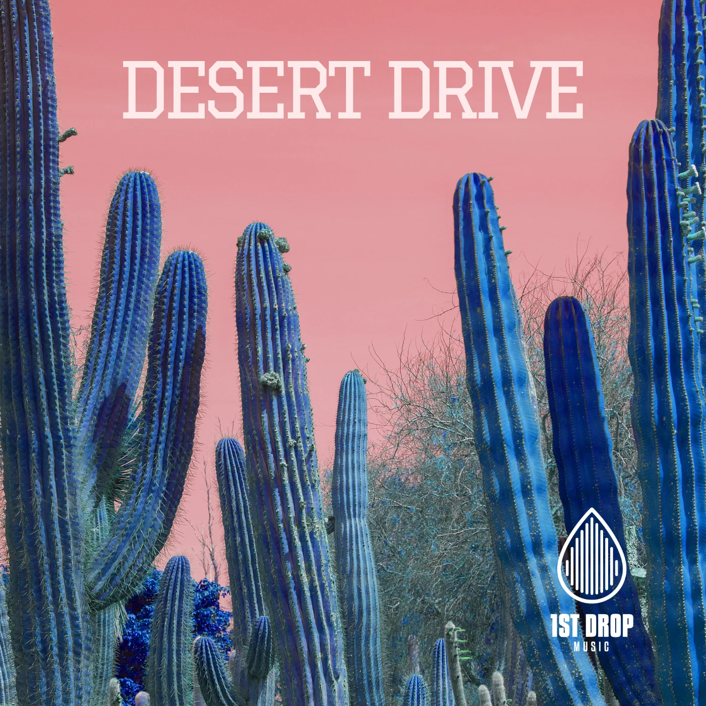Desert Drive artwork